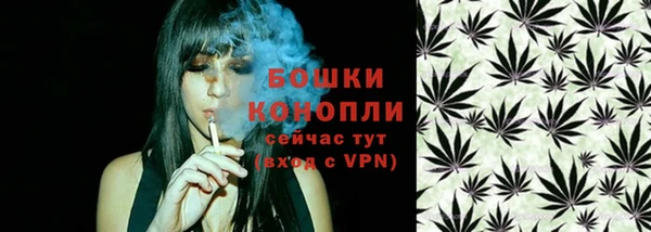 мет Пестово