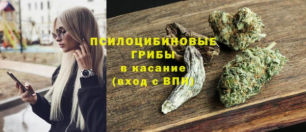 мяу мяу мука Кукмор