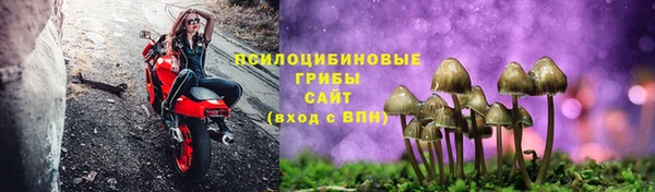 мет Пестово