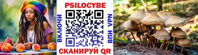 Галлюциногенные грибы мицелий  omg   Назрань  где купить  